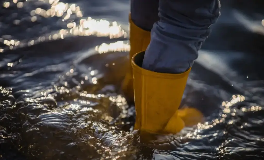 water damage restoration services